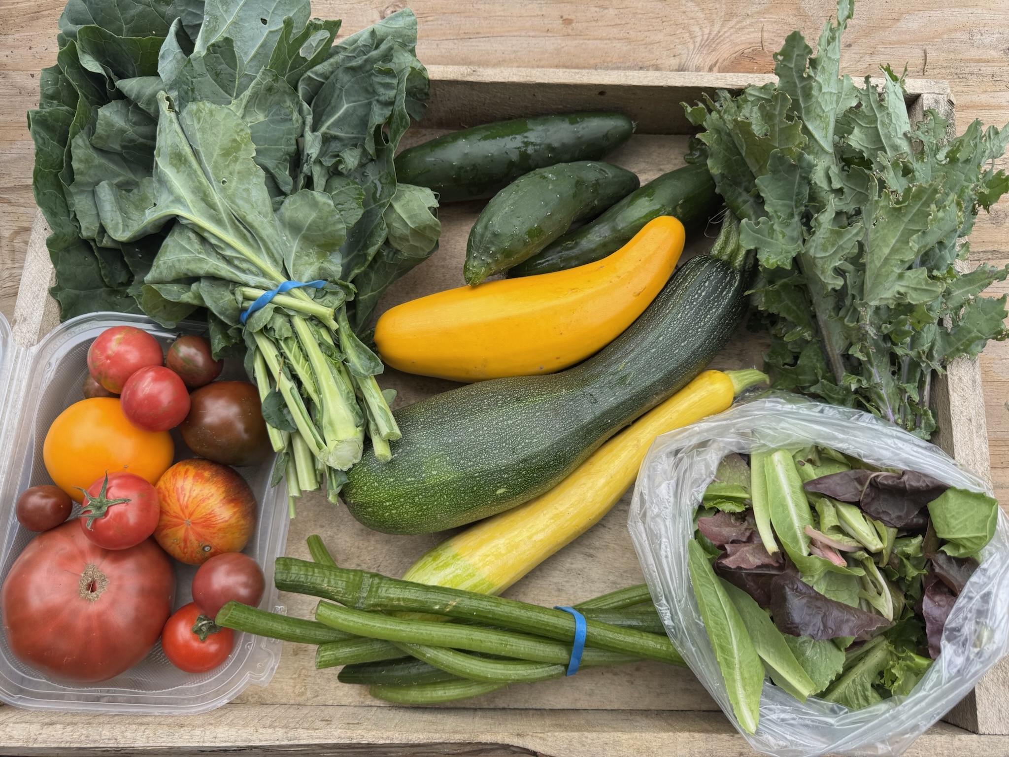 CSA box featuring Collard Greens, Cucumbers, Heirloom Tomatoes, Red Russian Kale, Salad Mix, Summer Squash, and Squash Stems, fresh from the farm and ready to enjoy.
