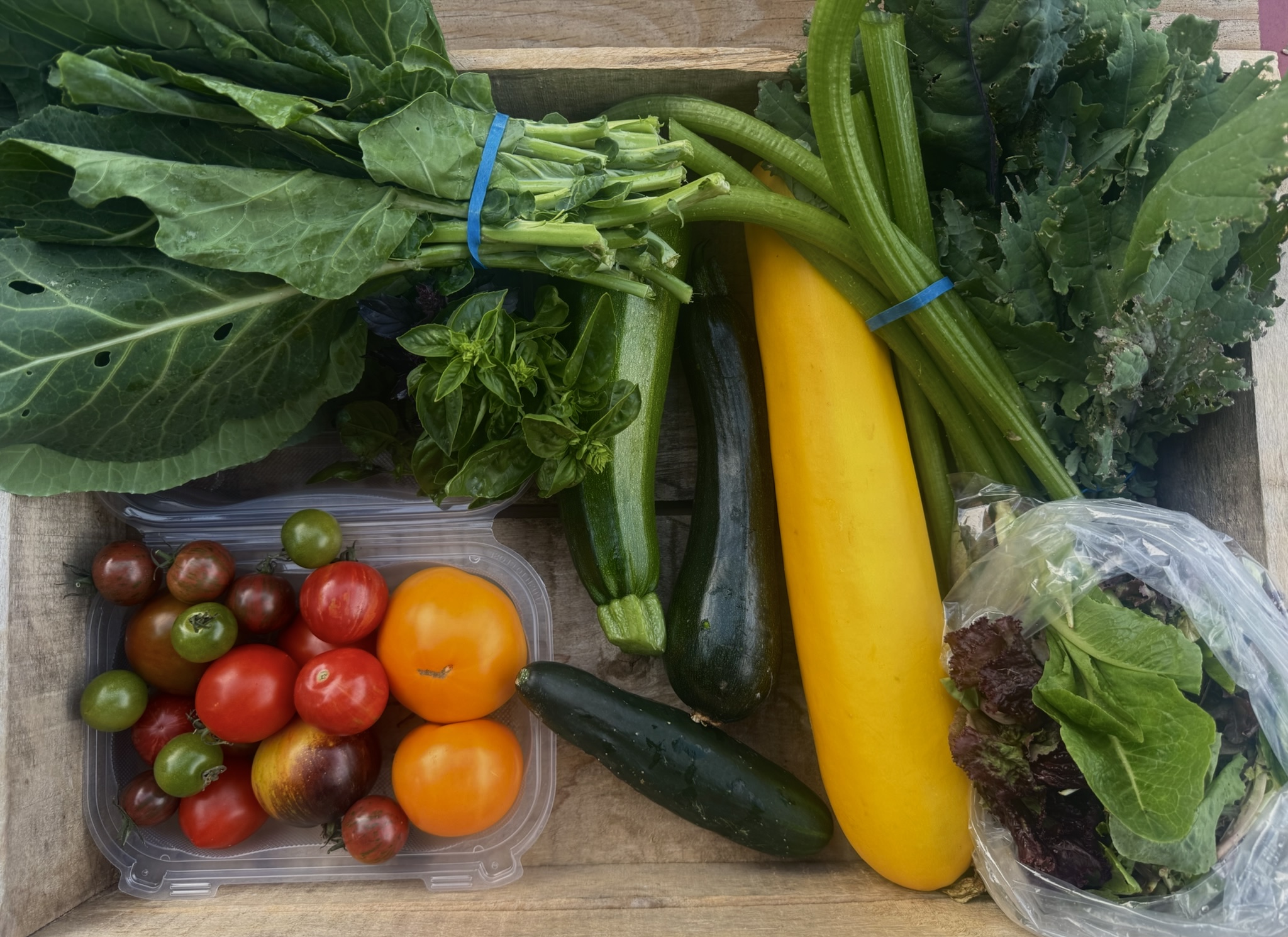 CSA box featuring Basil, Collard Greens, Cucumbers, Heirloom Tomatoes, Red Russian Kale, Salad Mix, Summer Squash, and Squash Stems, freshly picked and arranged with care.