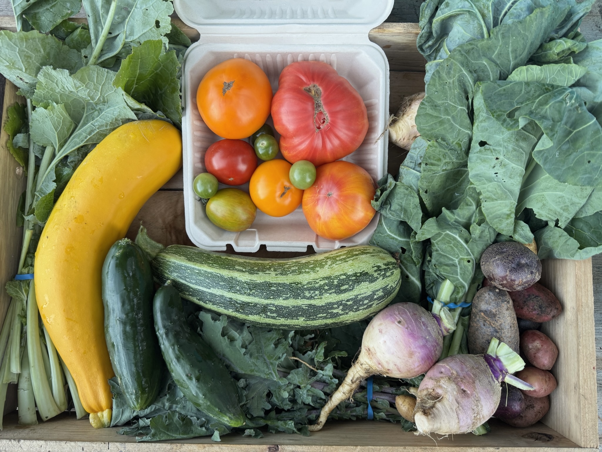 CSA box featuring Collard Greens, Cucumbers, Heirloom Tomatoes, Potatoes, Red Russian Kale, Rutabaga with Greens, and Summer Squash, freshly harvested and full of flavor.