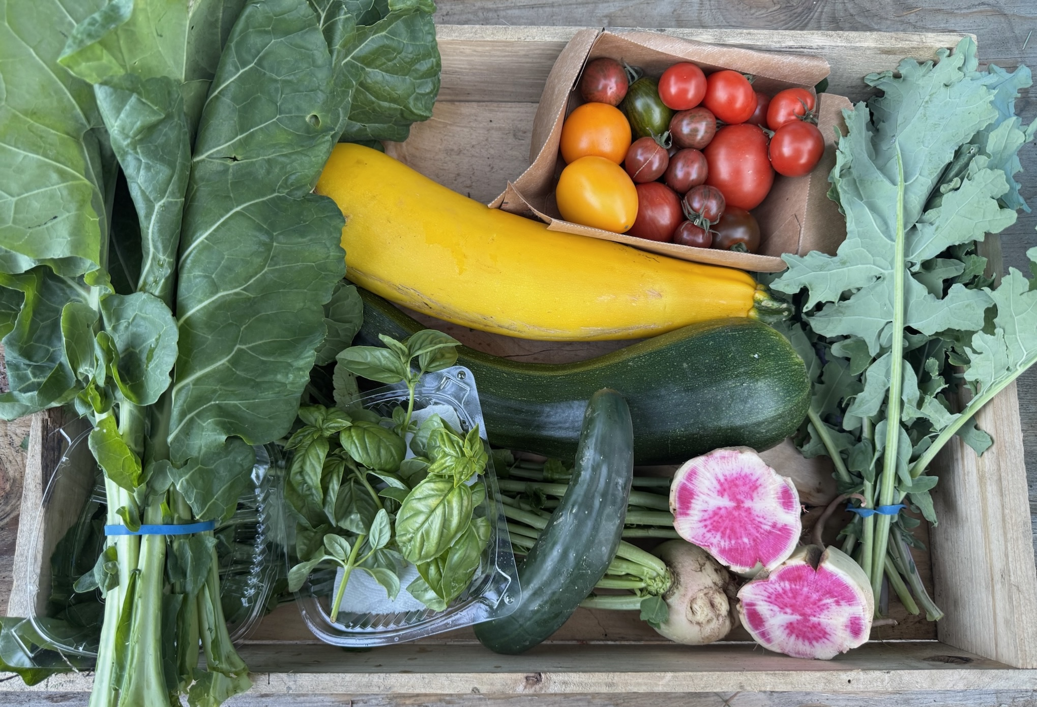 CSA box featuring Basil Mix, Collard Greens, Cucumbers, Heirloom Tomatoes, Red Russian Kale, Summer Squash, and Watermelon Radishes, fresh from the farm and ready to enjoy.