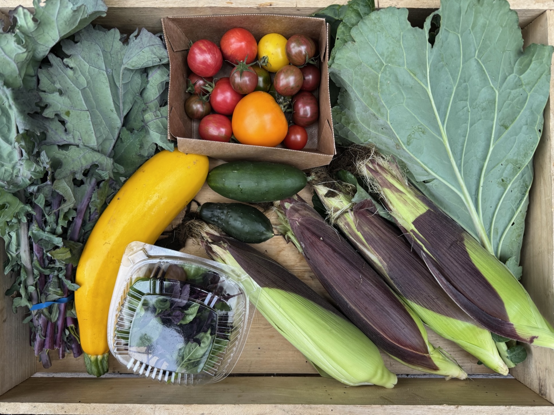ChatGPT said:

CSA box featuring Basil Mix, Collard Greens, Corn, Cucumbers, Heirloom Tomatoes, Red Russian Kale, and Summer Squash, freshly harvested and full of seasonal flavor.