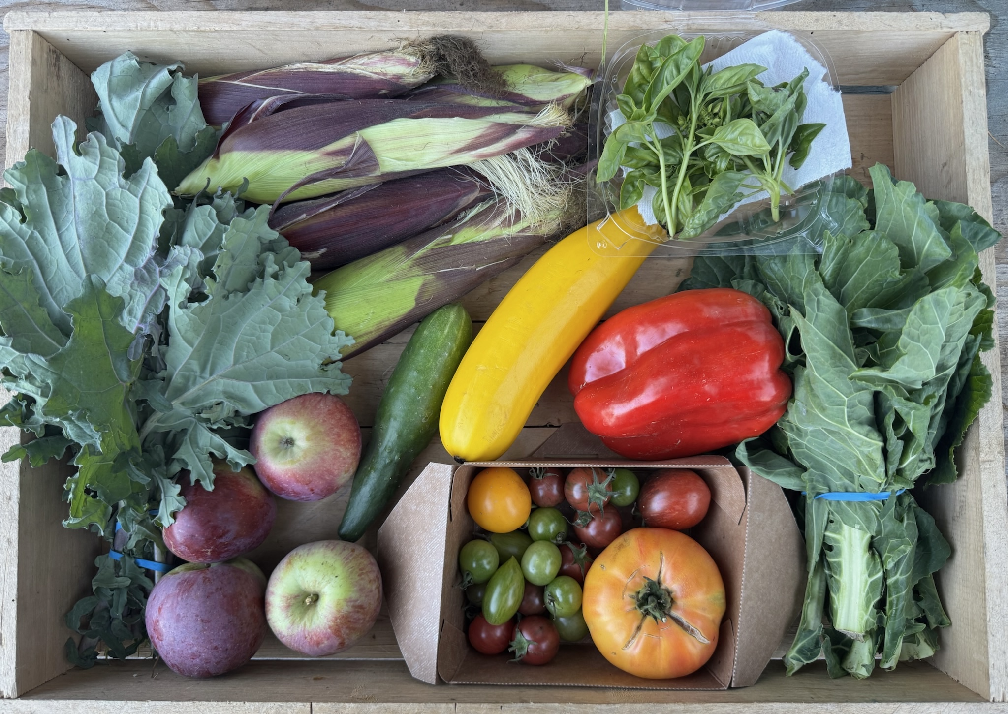 ChatGPT said:

CSA box featuring Basil Mix, Bell Peppers, Collard Greens, Corn, Cucumbers, Heirloom Tomatoes, Liberty Apples, Red Russian Kale, and Summer Squash, freshly picked and full of summer flavor.