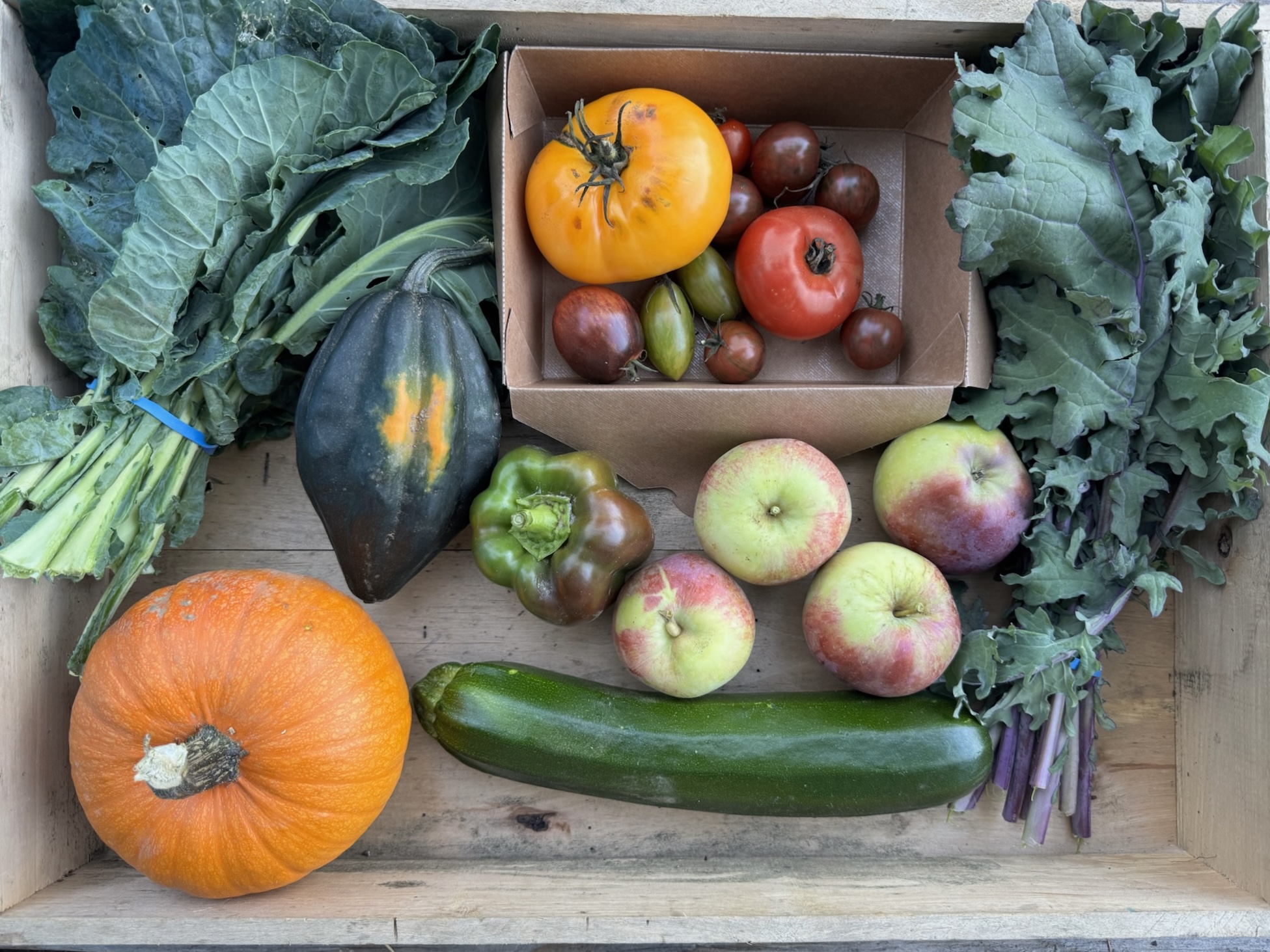 Acorn Squash, Bell Peppers, Collard Greens, Heirloom Tomatoes, Liberty Apples, Red Russian Kale, Summer Squash, Winter Luxury Pumpkin