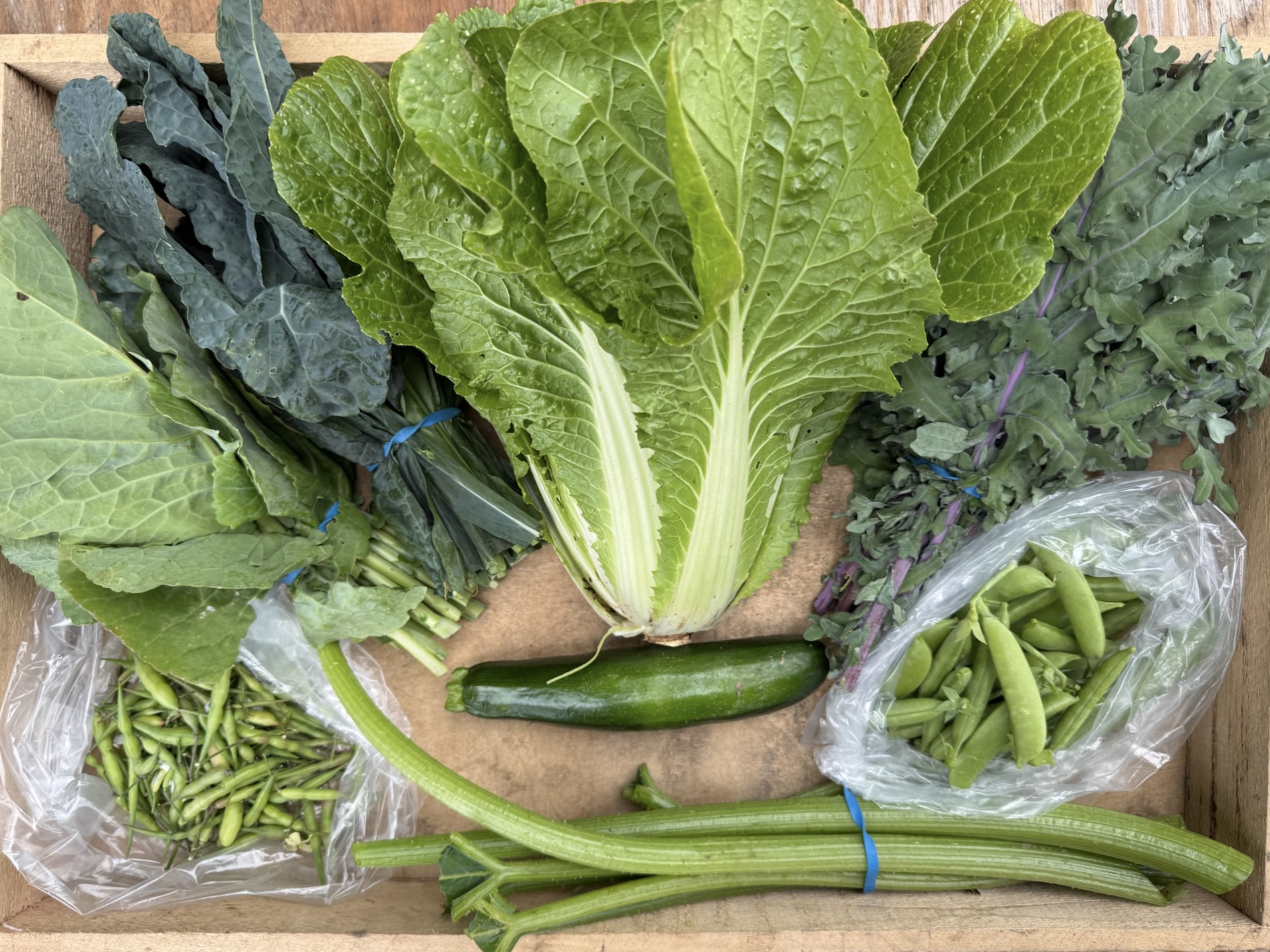 CSA box featuring Black Magic Kale, Chinese Cabbage, Collard Greens, Radish Pods, Red Russian Kale, Sugar Snap Peas, Summer Squash, and Squash Stems, freshly harvested and full of seasonal flavor.